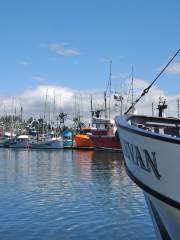 Port of Newport - Commercial Marina