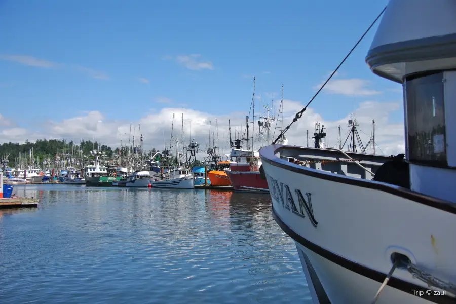 Port of Newport - Commercial Marina