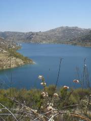 Blue Sky Ecological Reserve