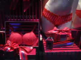 Victoria's Secret & PINK