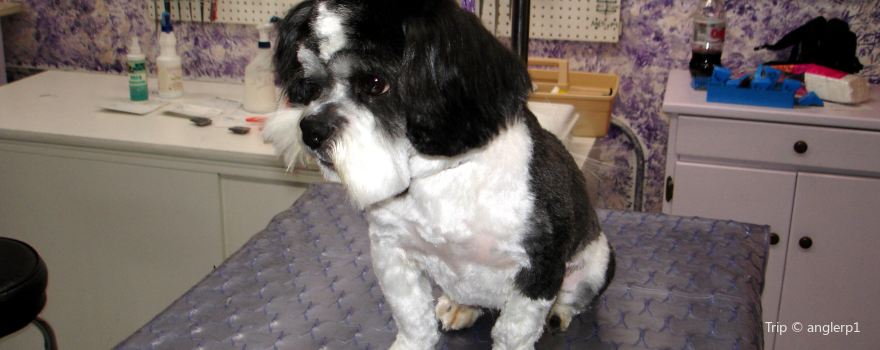 Top Dog Kennel