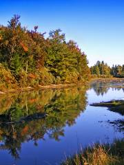 Wetlands Preserve