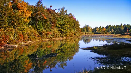 Wetlands Preserve