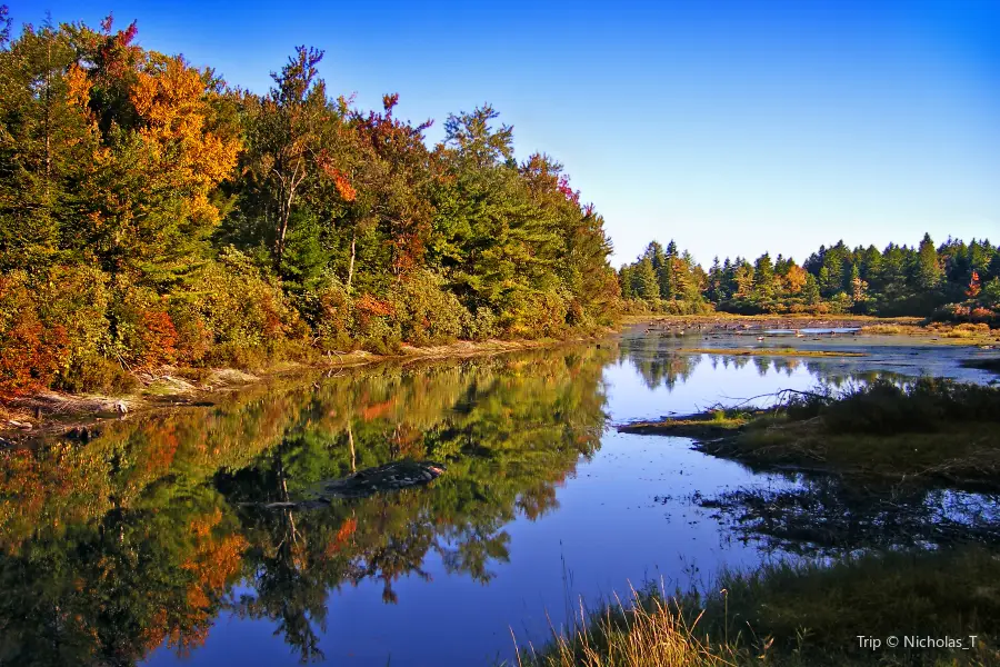 Wetlands Preserve