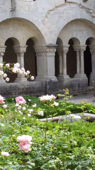 Provence + Abbey Notre-Dame de Sénanque Day Tour in France [Private Charter Route I Chinese-English Guide]