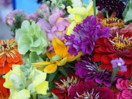 Fusilier Family Farm & Greenhouses