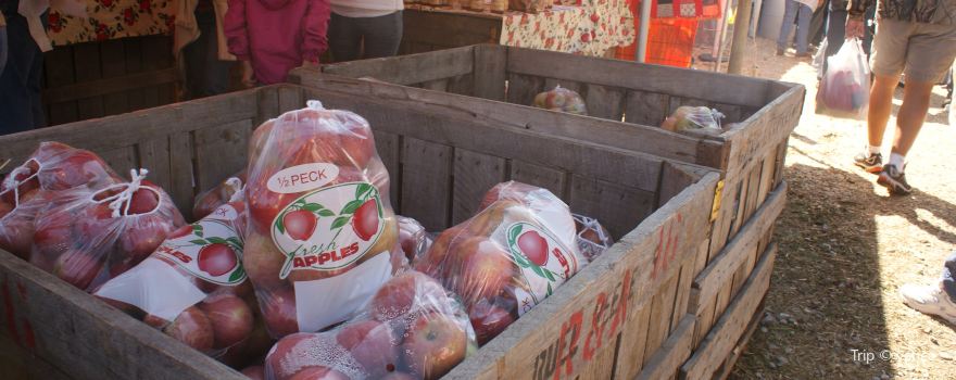Georgia Apple Festival