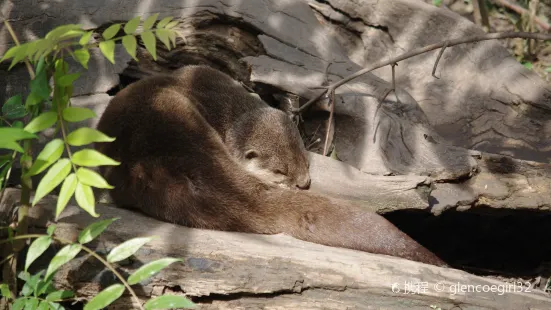 Touroparc Zoo