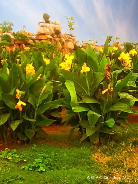 Bilaspur