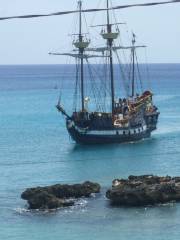 Pirate Voyages