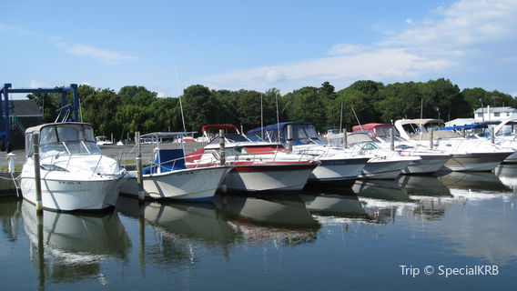 The Boatyard Beach Club