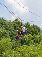 Heise Zipline