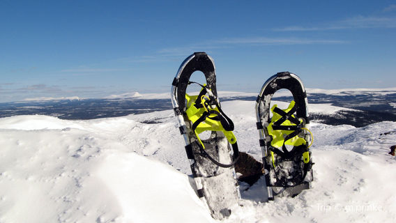 Gold Run Nordic Center