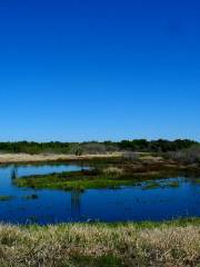 Myakka River State Park