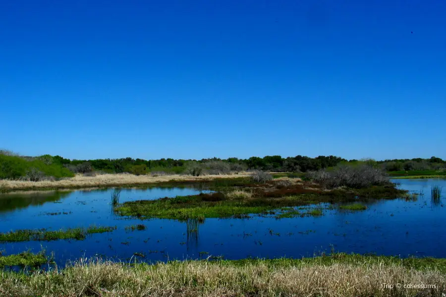 Myakka River State Park