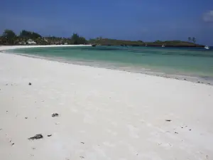 Mombasa Marine National Park