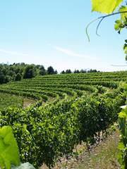 Black Star Farms Winery