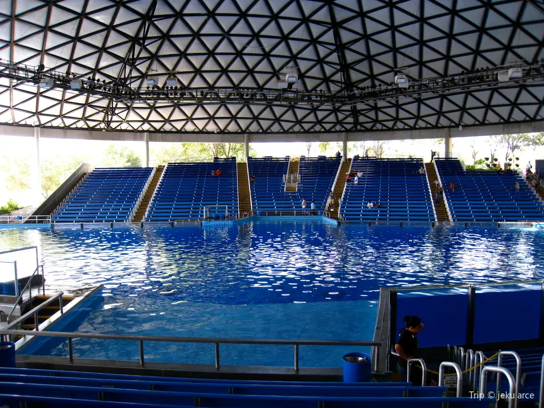 5_SeaWorld San Antonio