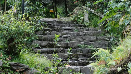 99 Steps