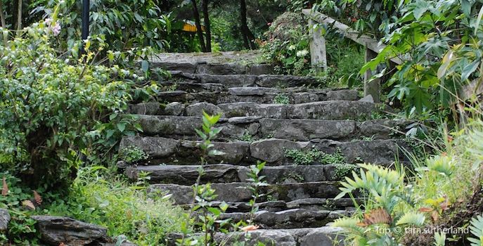 99 Steps