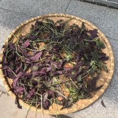 东江湖华兰家柴火鱼总店 User Photo