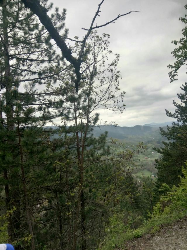 木頭村