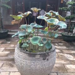 Xiangshan Restaurant User Photo