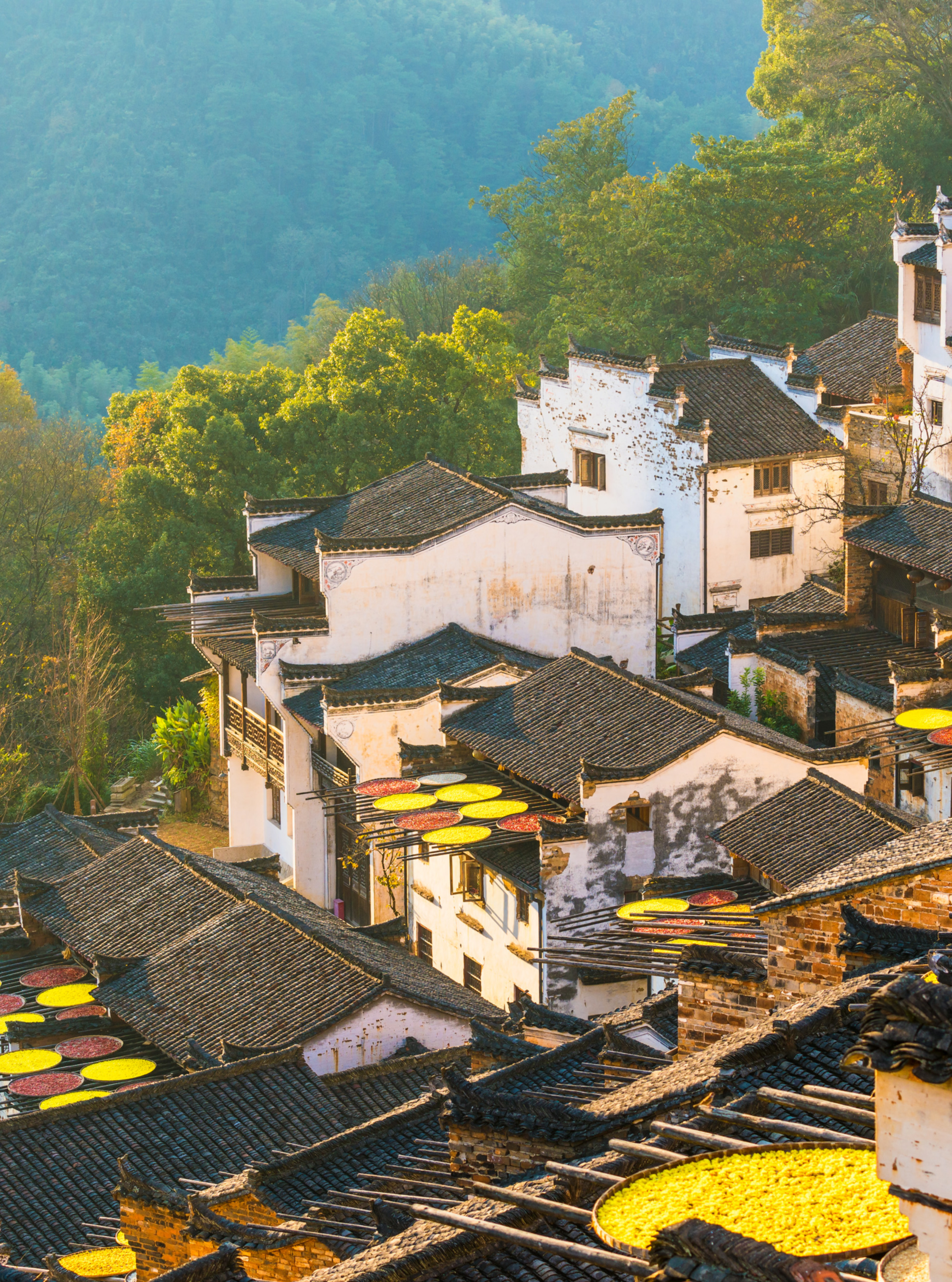 2025 Shangrao Travel Guide: Must-see attractions, popular food, hotels, transportation routes (updated in July)