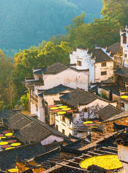 Vancouver to Shangrao Flights
