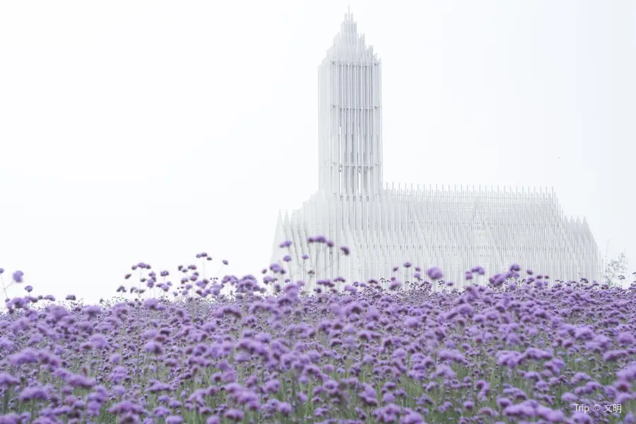 Shadow Church