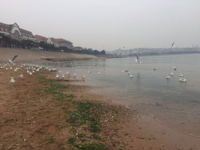 Zhanqiao Pier
