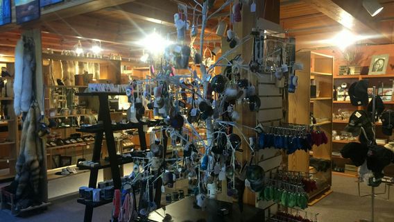 Gallery of the Midnight Sun