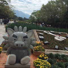 公園 吉野