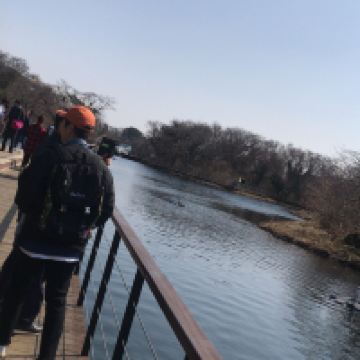 評論圖片 3