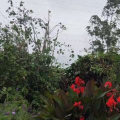 Gardenia Country Inn Restaurant User Photo