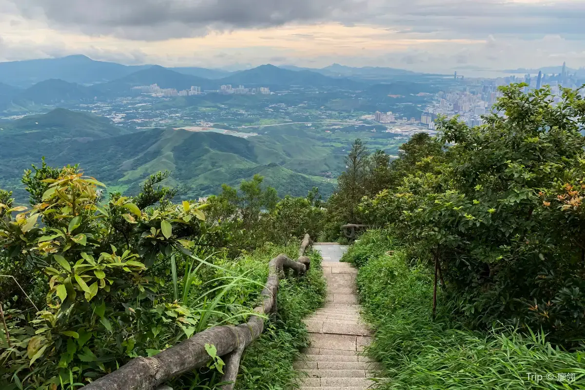 梧桐山郊野公園