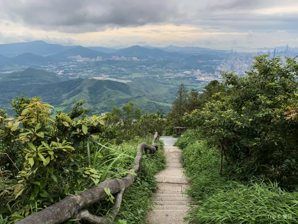 3_Guangdong Wutong Mountain National Forest Park