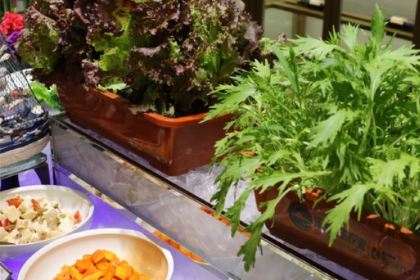 雍贵酒店·雍悦汇海鲜自助餐厅