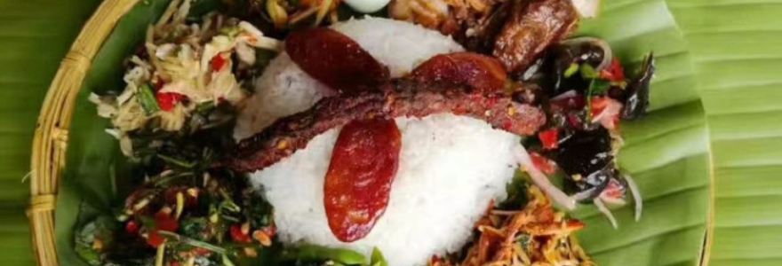 AI HUA MEI WEI SHOU ZHUA FAN