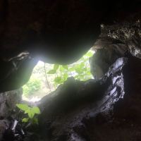 評論圖片 2