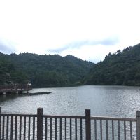 評論圖片 3