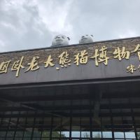評論圖片 2