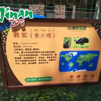 評論圖片 5