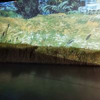 評論圖片 6
