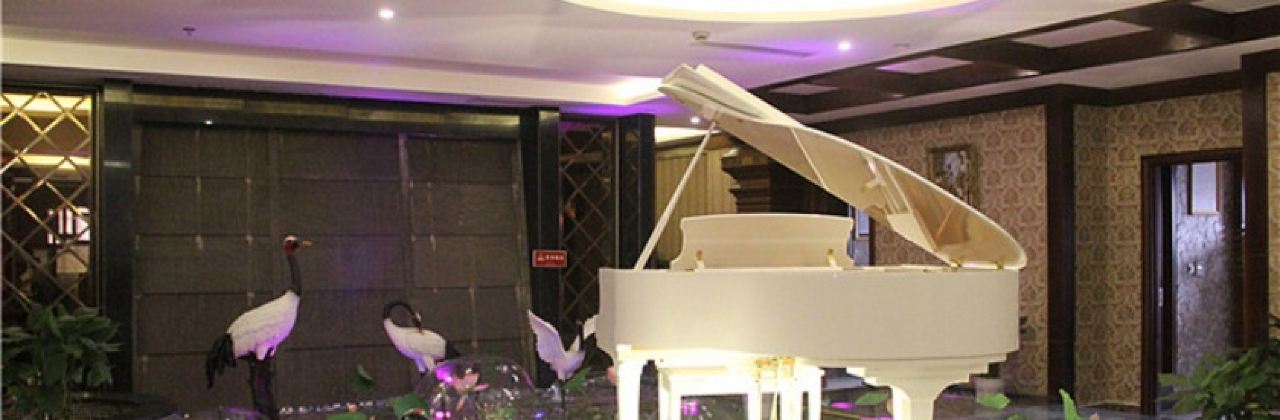 LIANG AN GA FEI HUA YING DIAN