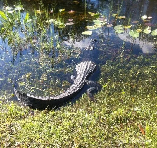 Tired of lying on the beach? Geer up for fun things to do in Miami