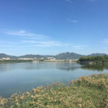 評論圖片 2