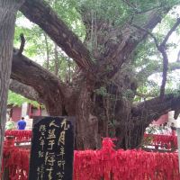 評論圖片 1