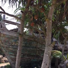 SEA STORY User Photo