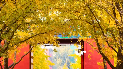Ditan Park attraction in Beijing
